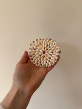Load image into Gallery viewer, Cowrie Shell Trivet
