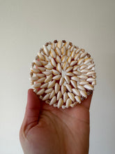 Load image into Gallery viewer, Cowrie Shell Trivet
